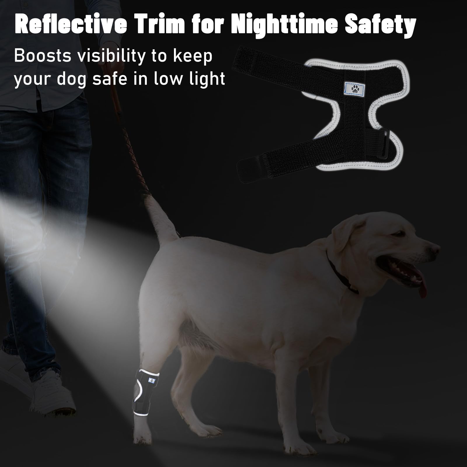 Pawfun reflective-trim night-use demonstrates visibility during evening walks