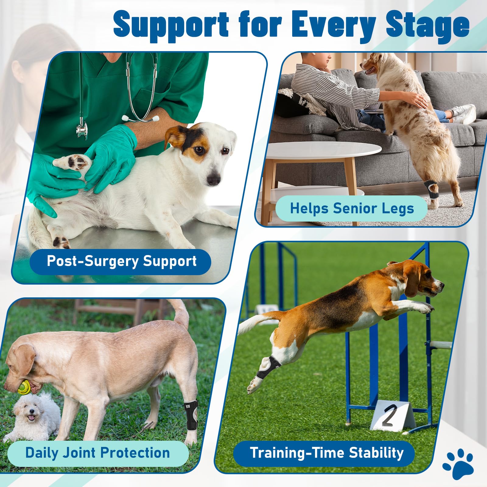 Pawfun removable-metal-strips closeup indicates customizable stiffness for gradual recovery