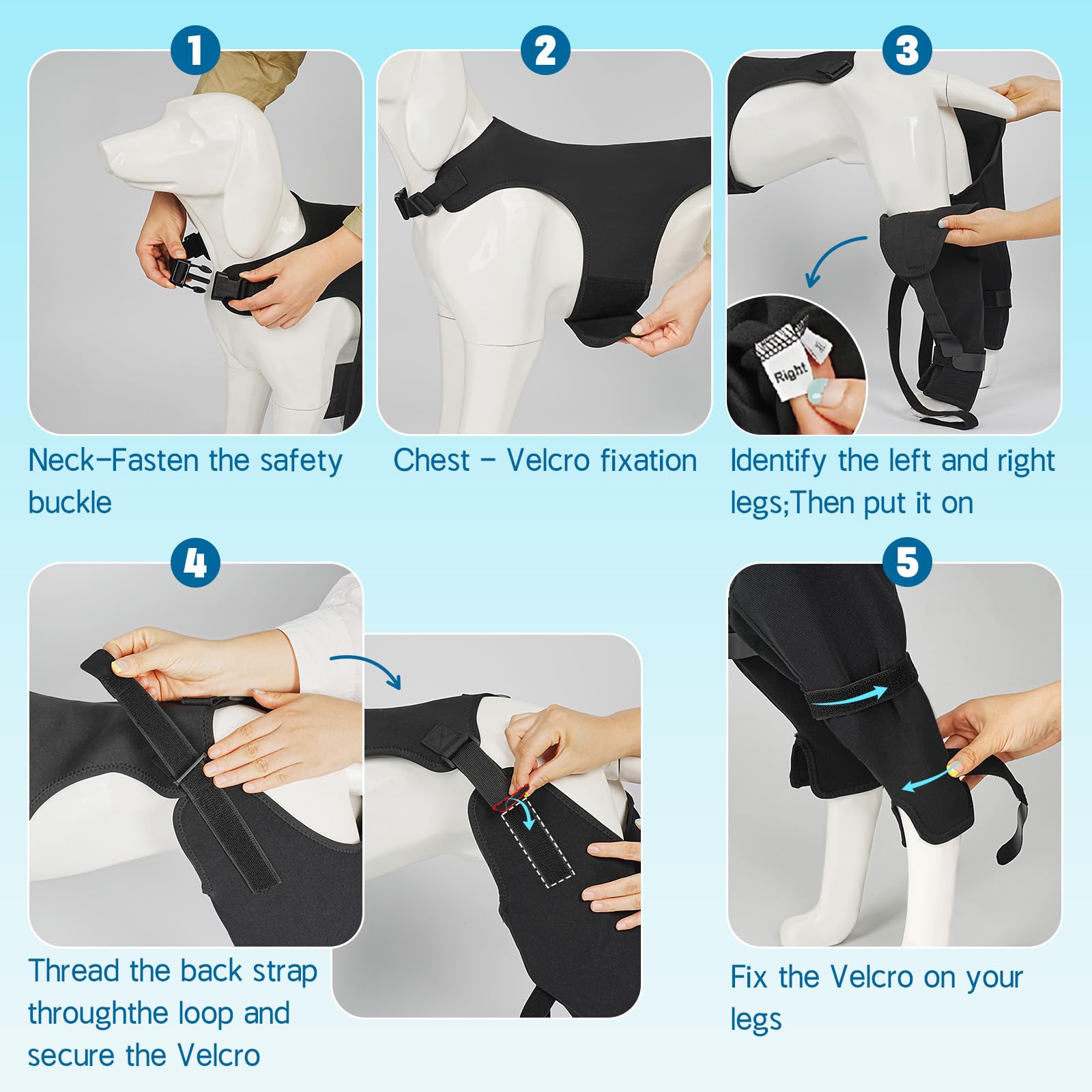 Pawfun size-measure guide helps ensure proper fit.