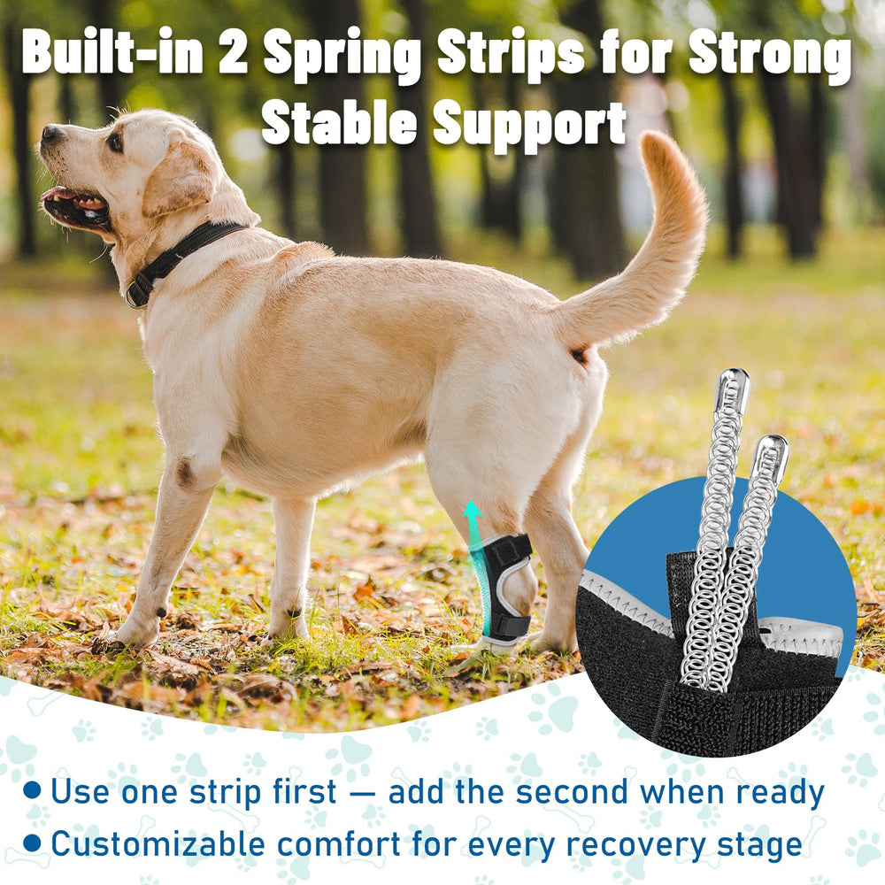 Pawfun strap-secure-fit shows durable Velcro and snug support in motion