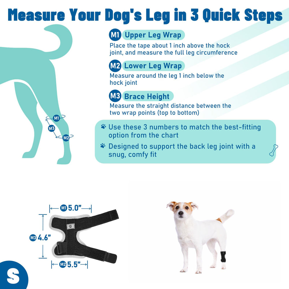 Pawfun-washable-reusable shows easy cleaning after active days