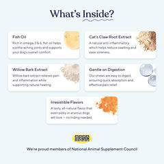 Pawfy Advanced Pain Management chews close-up shows chewy texture aiding joint comfort.