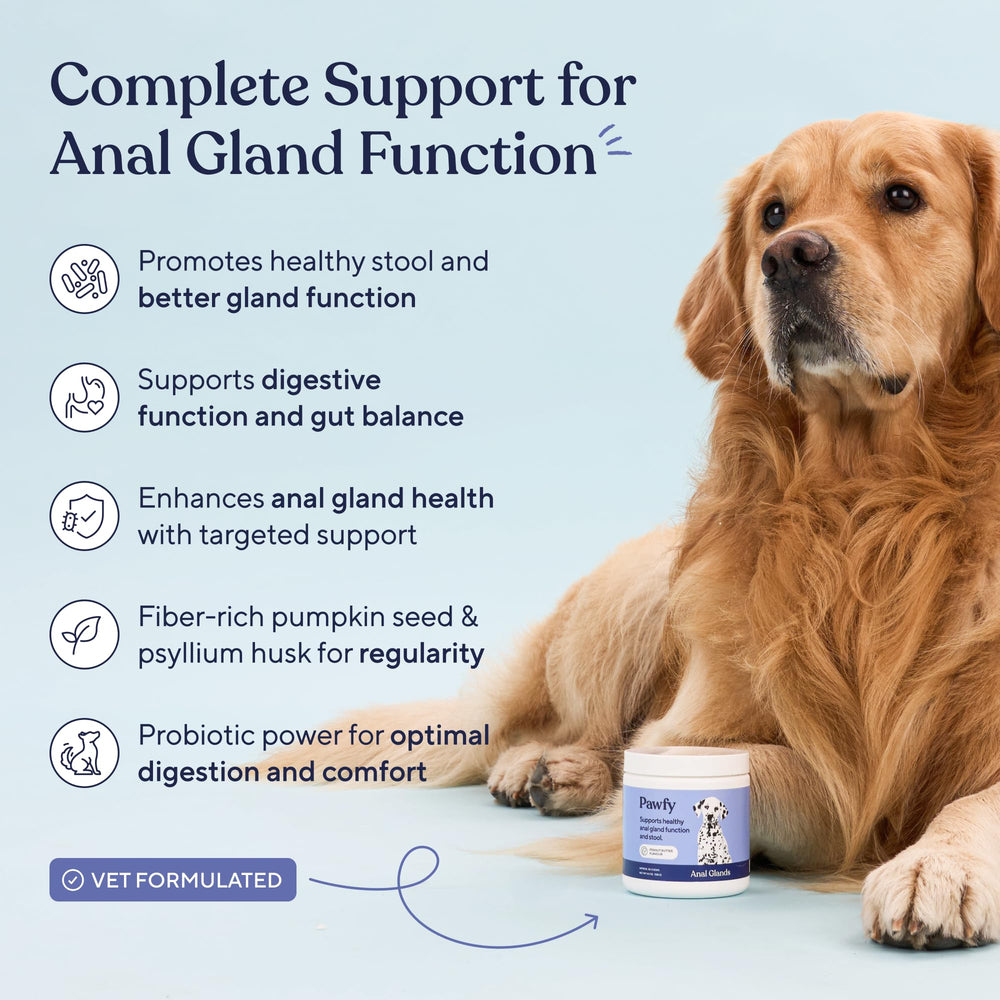 Pawfy anal gland chews being fed by a dog, aiding scooting relief and digestion.