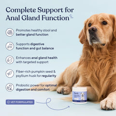 Pawfy anal gland chews being fed by a dog, aiding scooting relief and digestion.