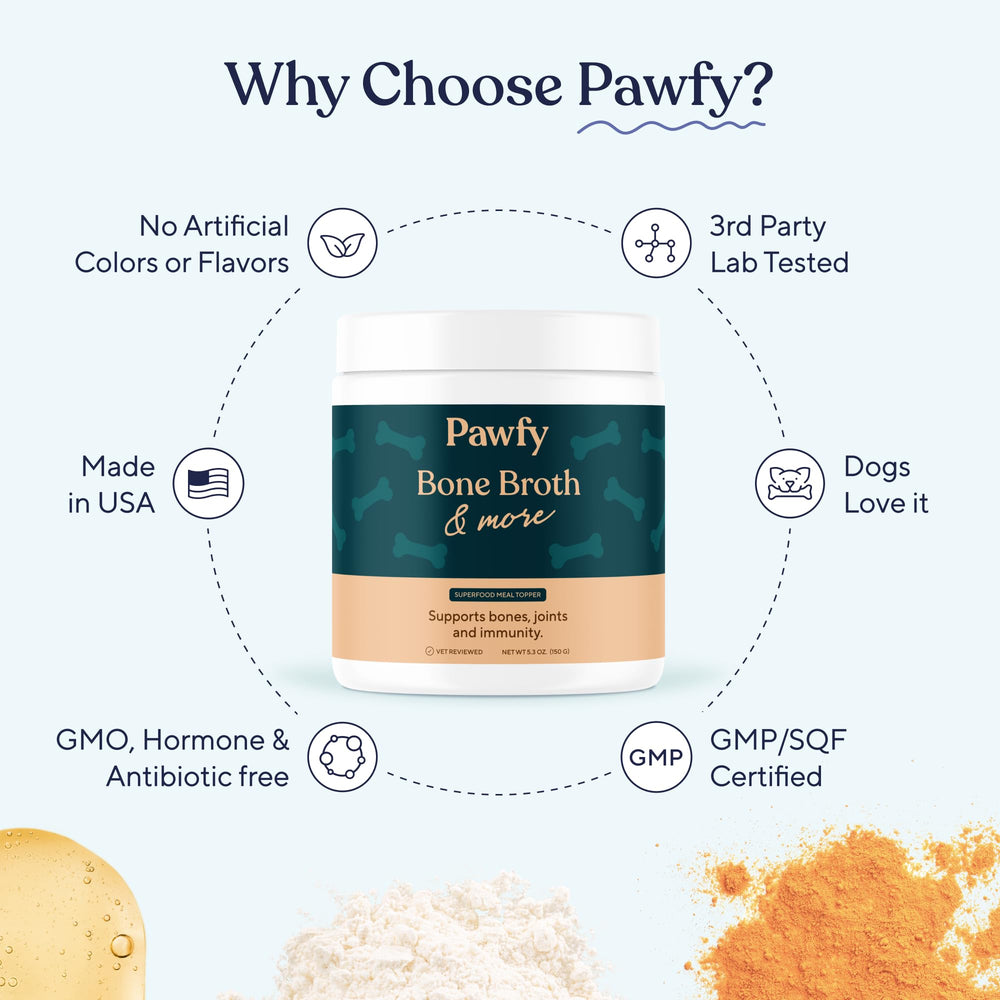 Pawfy Bone Broth dog enjoys a savory, nutritious dinner.