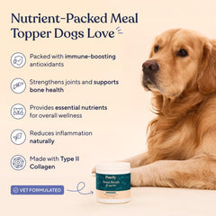Pawfy Bone Broth pours over kibble to boost flavor and hydration.