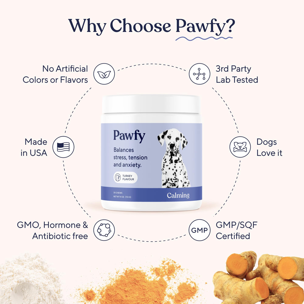 Pawfy Calming Chews dog-enjoying-snack: turkey treats that support a tranquil mood.
