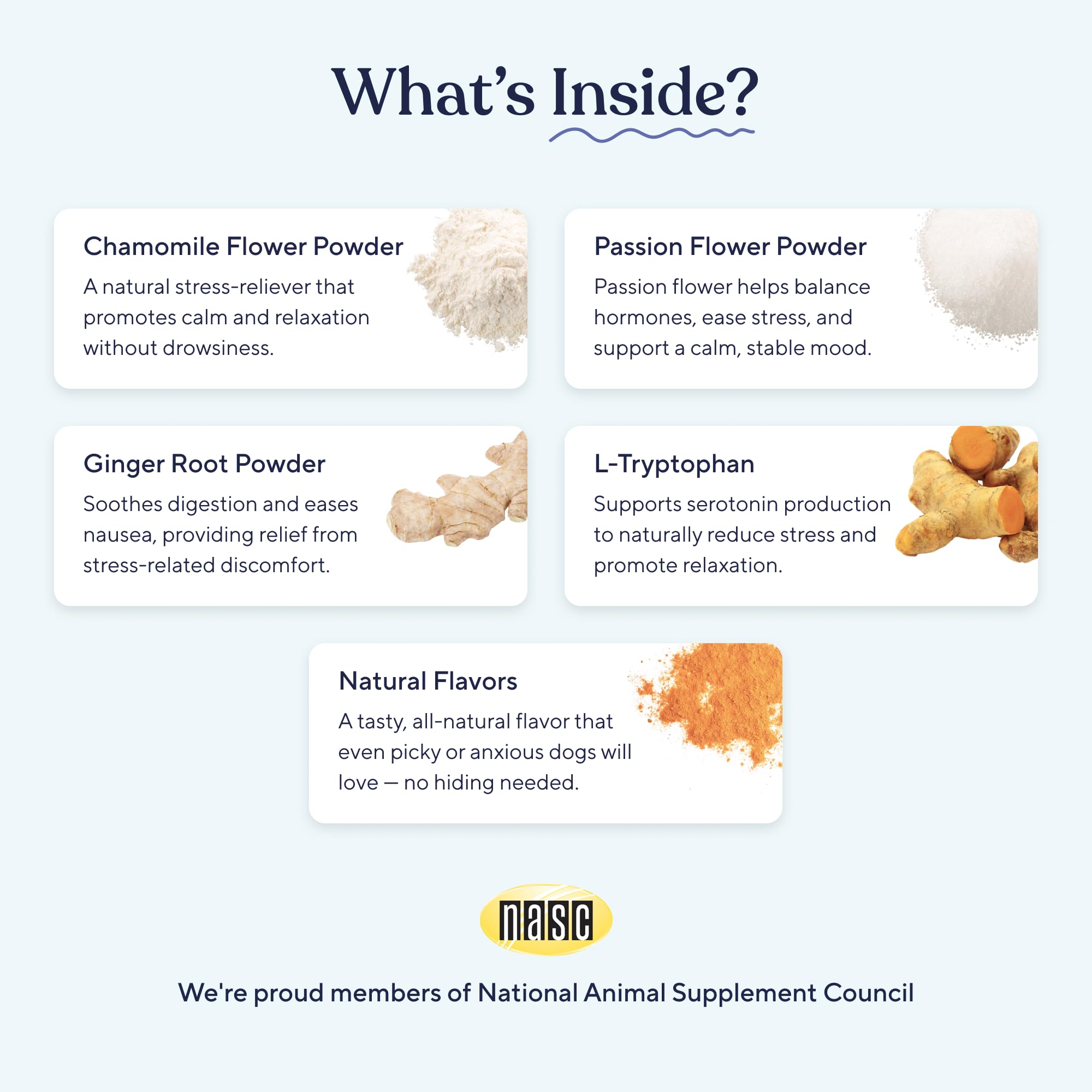 Pawfy Calming Chews dog-relaxing-on-sofa: helps ease separation anxiety.