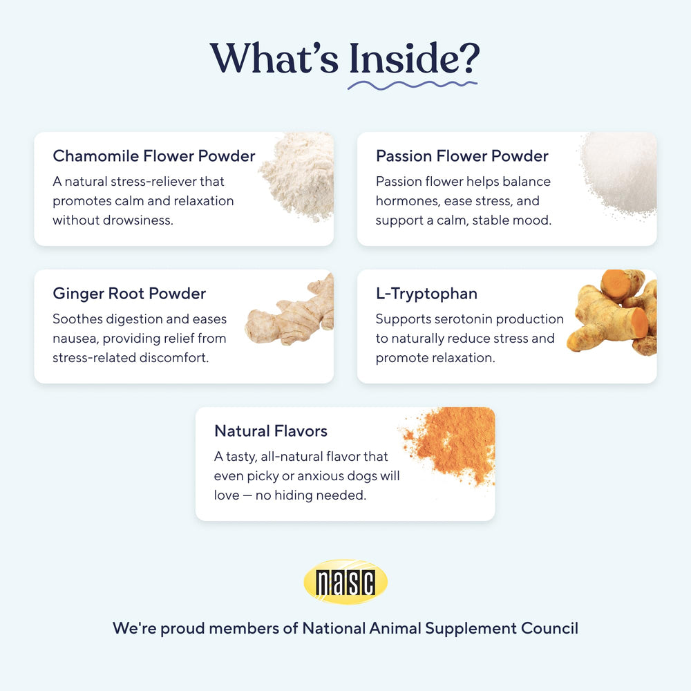 Pawfy Calming Chews dog-relaxing-on-sofa: helps ease separation anxiety.