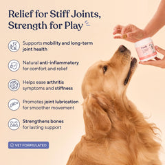 Pawfy chicken-flavor joint chews for dogs, highlighting flavor and joint comfort use.