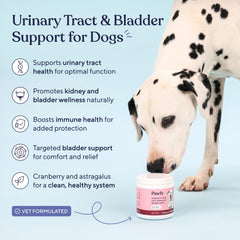 Pawfy UTI chews close-up emphasizes tasty texture and support for bladder wellness.
