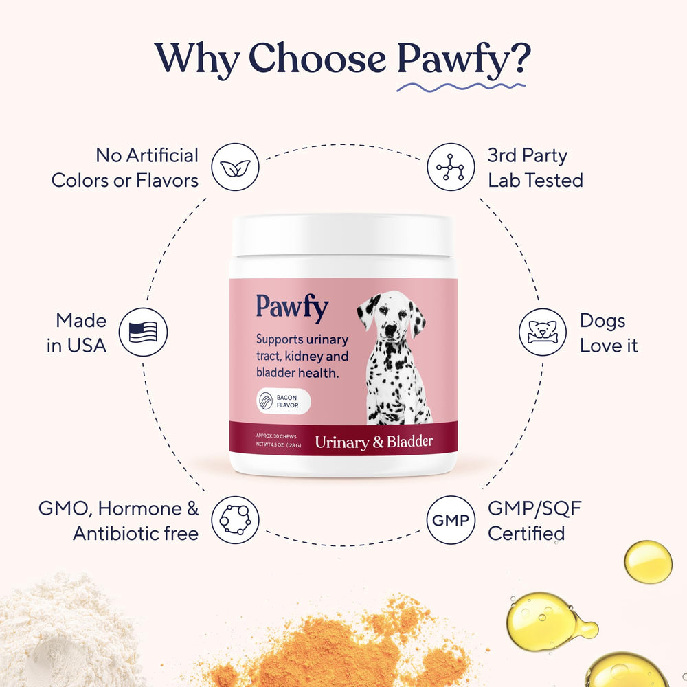 Pawfy daily-dose shot shows recommended chew quantity for routine urinary support.