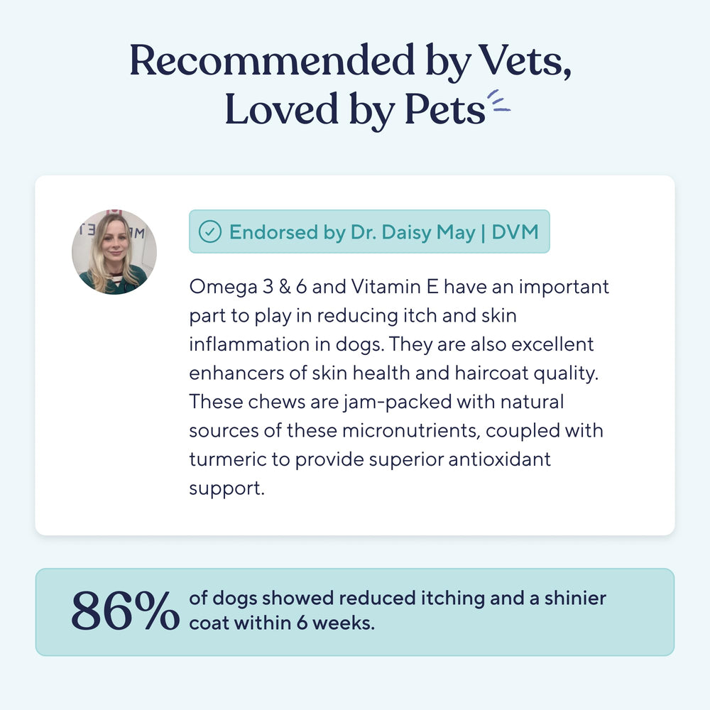 Pawfy owner caring for dog illustrates easy daily use.