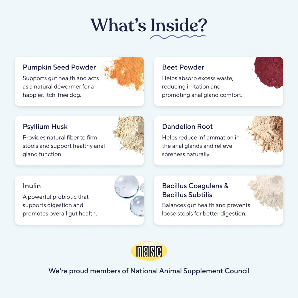 Pawfy probiotic dog chews close-up, highlighting digestive health benefits.