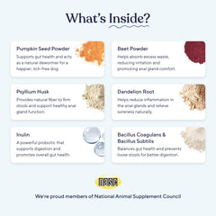 Pawfy probiotic dog chews close-up, highlighting digestive health benefits.