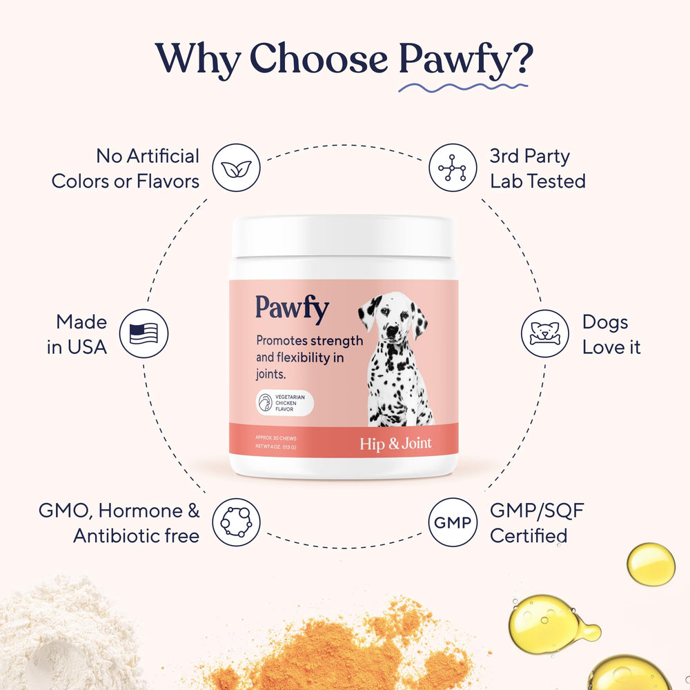 Pawfy senior dog joint care chews designed for aging pets' mobility.