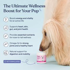 Pawfy skin coat support chews highlight omega fatty acids for a healthy coat