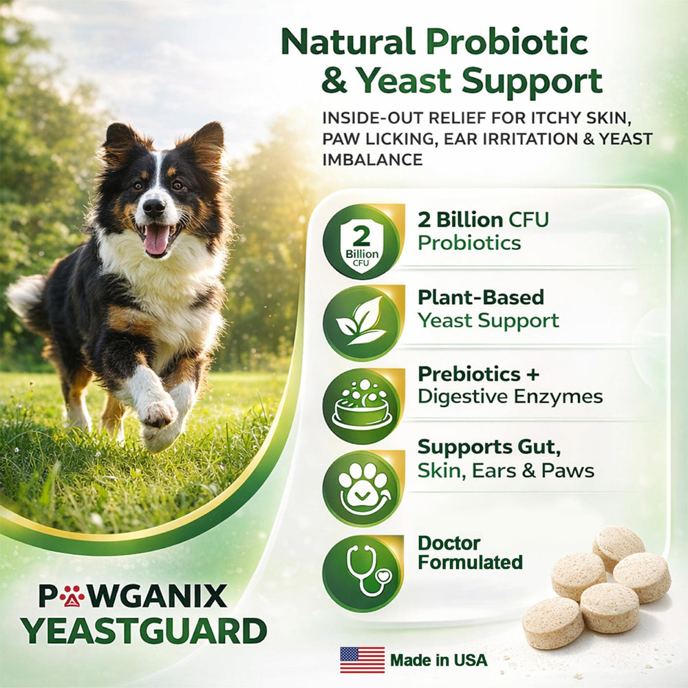 Pawganix YeastGuard bottle with label emphasizes USA-made, doctor-formulated wellness.
