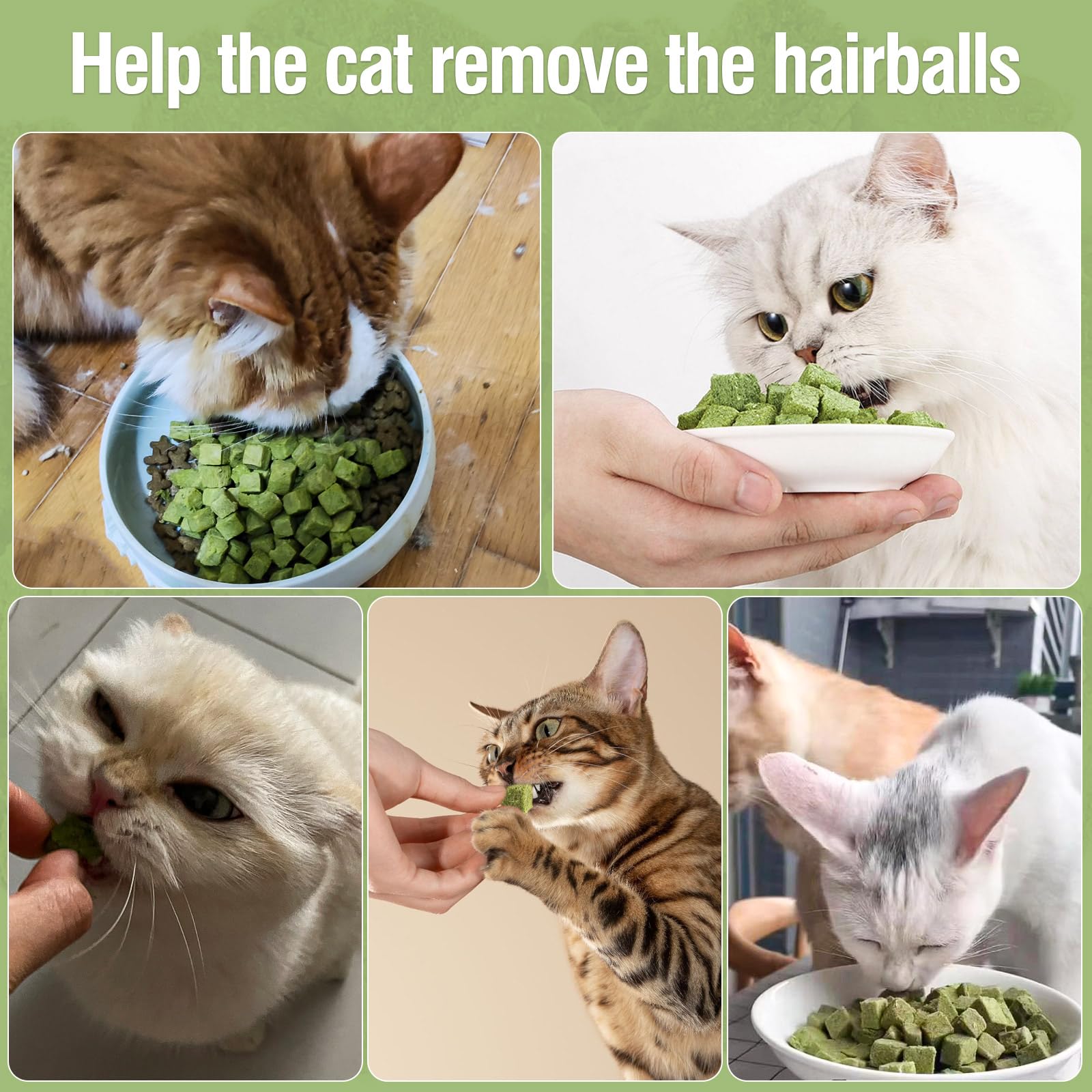 PawsGear 60g size fits most cats for interactive play and treat sessions.