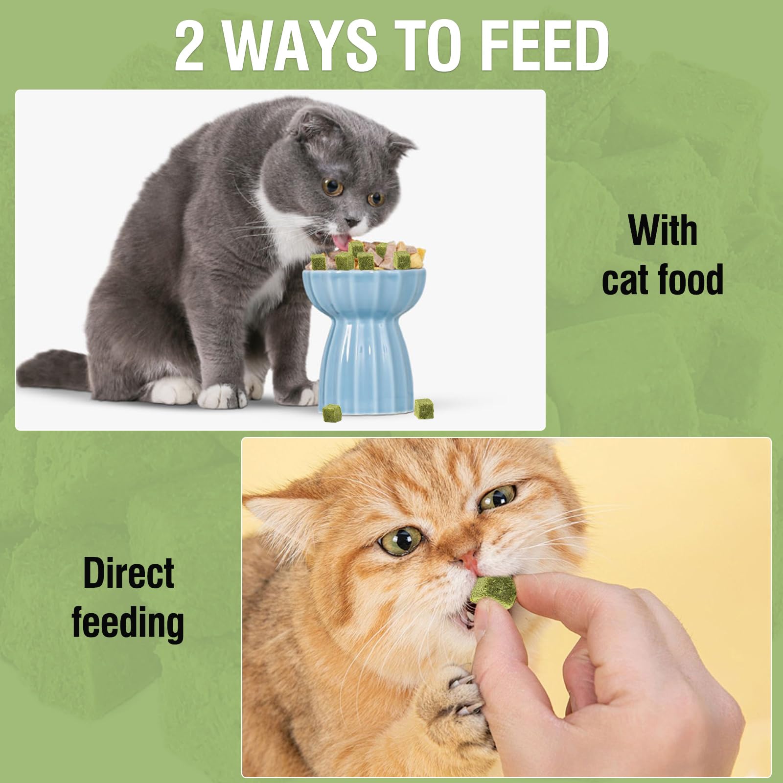 PawsGear after-sales service provides responsive support for cat grass toys.
