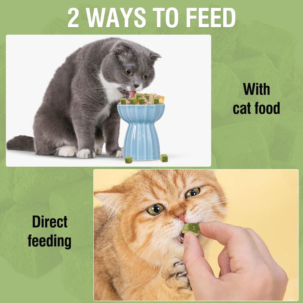 PawsGear after-sales service provides responsive support for cat grass toys.