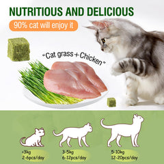 PawsGear edible cat chew treats offer safe, natural ingredients for daily chewing.