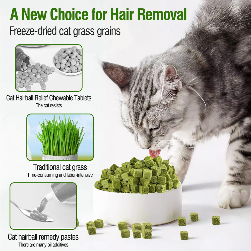 PawsGear premium ingredients: natural cat grass free from additives or chemicals.