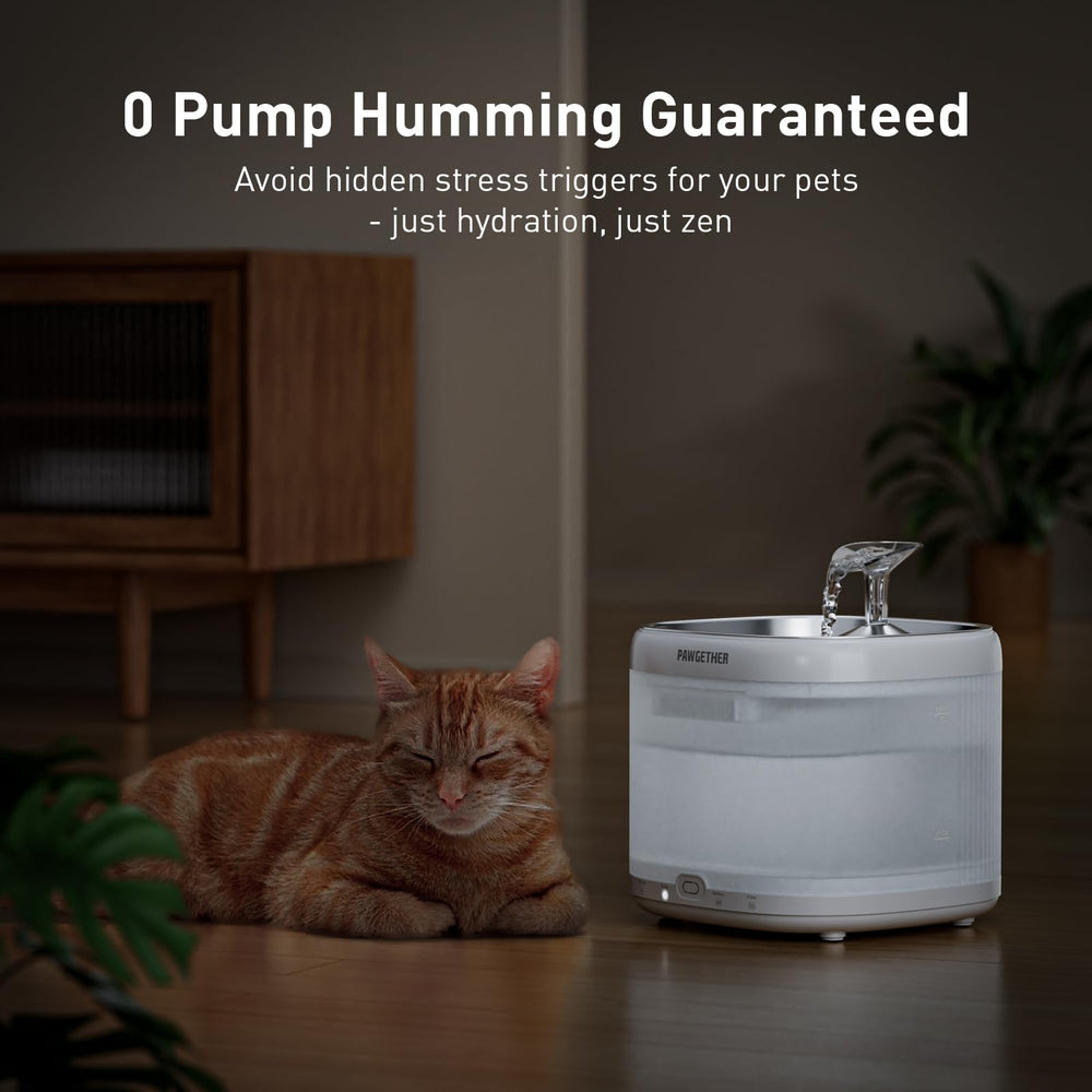 PAWGETHER 2L capacity fountain provides constant hydration for busy households