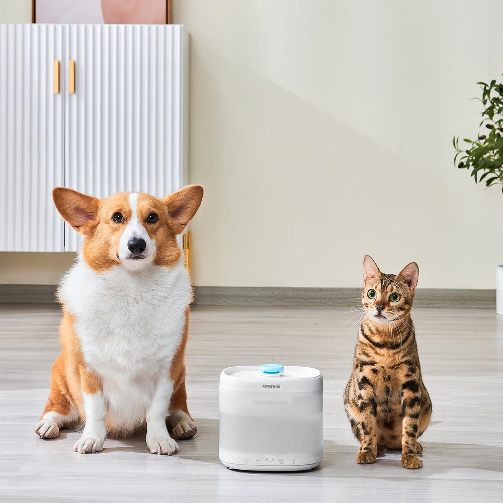 PAWGETHER compact 3-pack filters store easily and reduce replacements