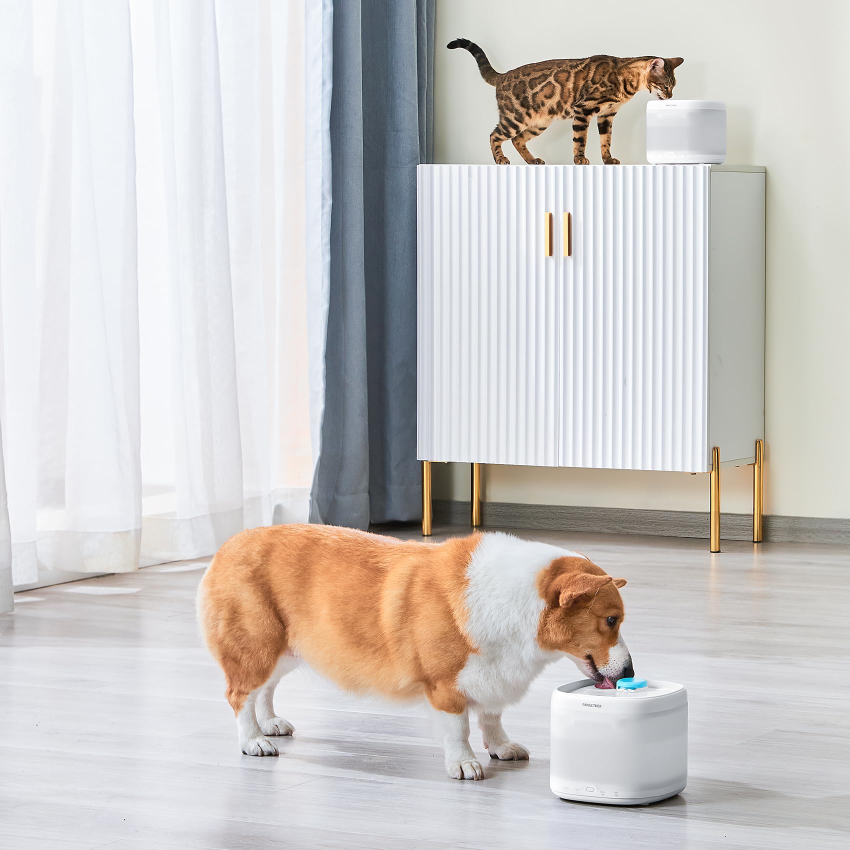 PAWGETHER-compatible-filter-pack ensures seamless fit with PAWGETHER fountains