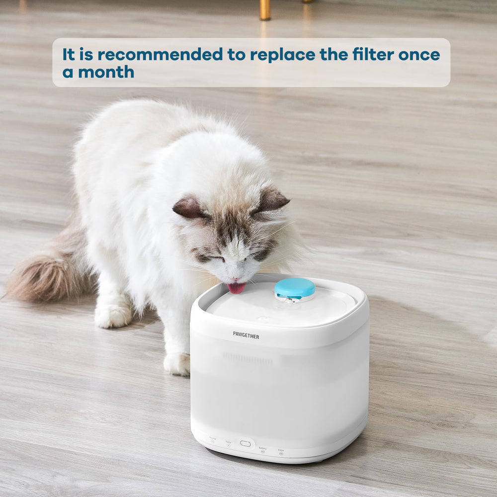 PAWGETHER cotton activated-carbon filter close-up purifies drinking water