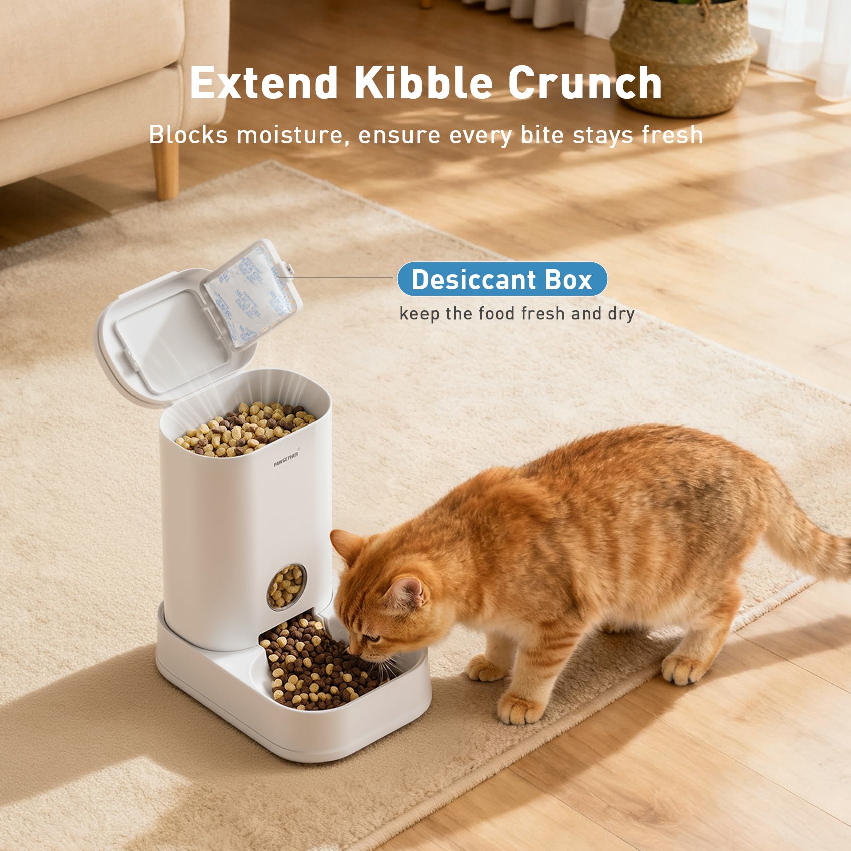 PAWGETHER replacement filter keeps water fresh for pets.