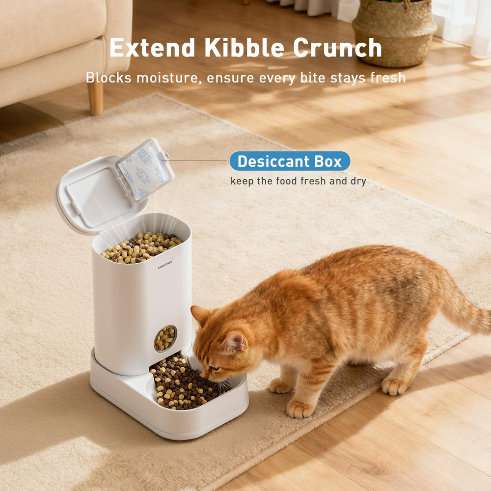 PAWGETHER replacement filter keeps water fresh for pets.