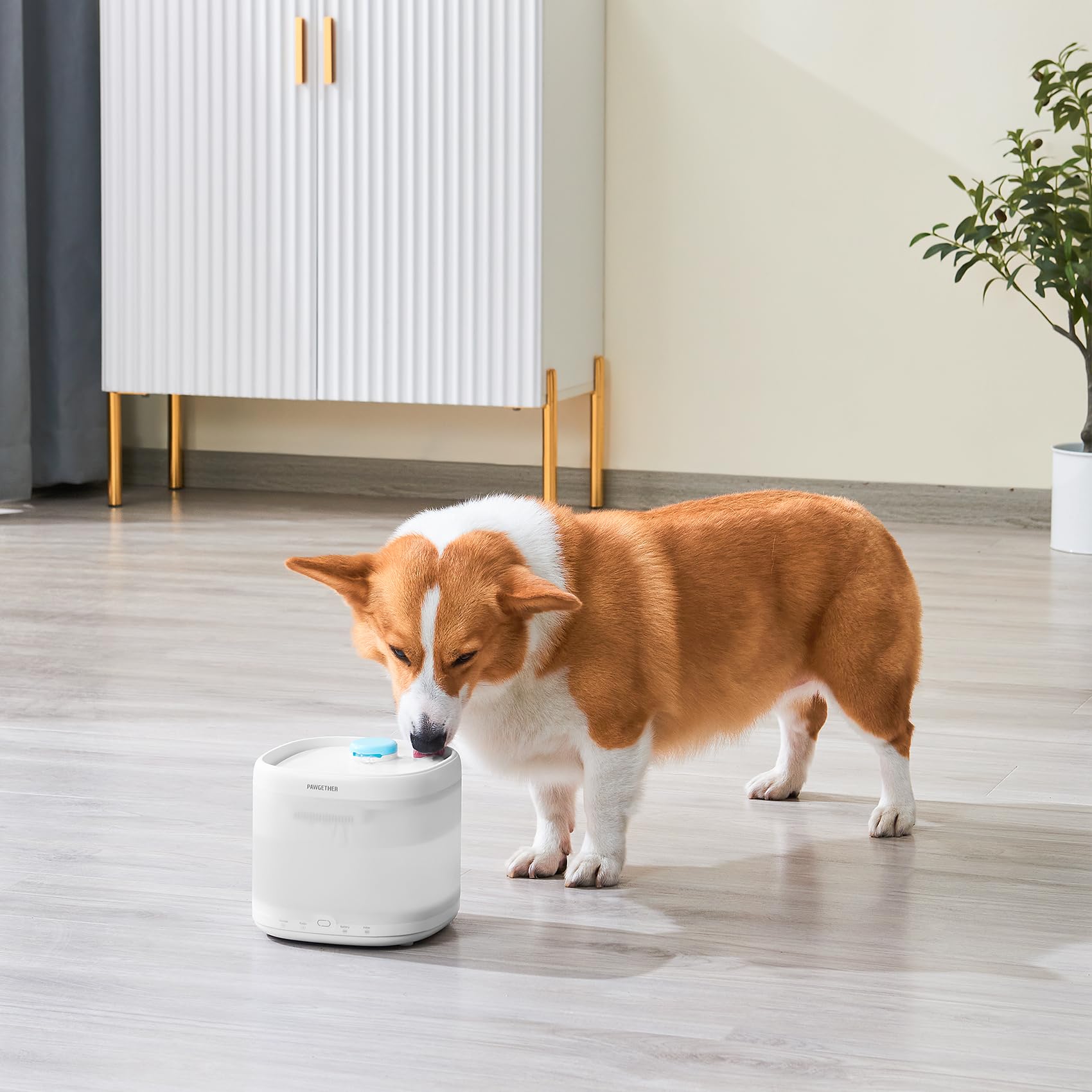 PAWGETHER soak-and-wash before use to ensure clean hydration
