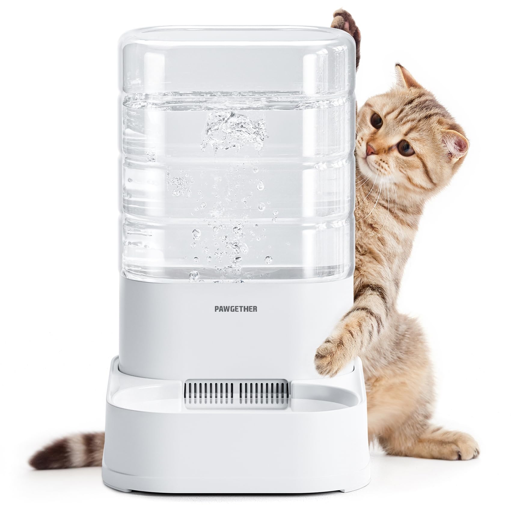 PAWGETHER automatic water dispenser used for cat and dog hydration.