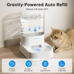 PAWGETHER 3-layer filter system keeps drinking water cleaner for pets.