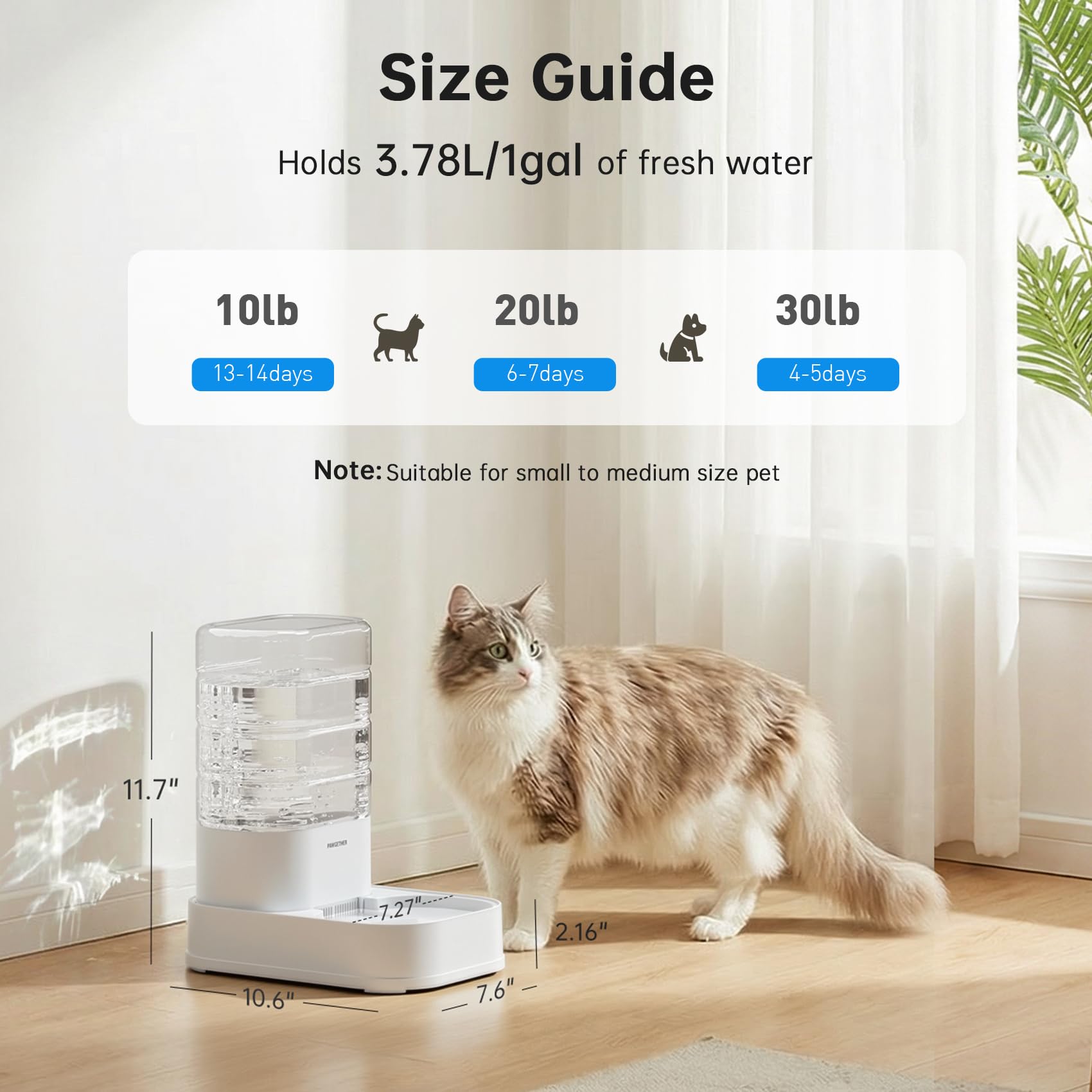 PAWGETHER food-grade PP materials ensure pet safety.