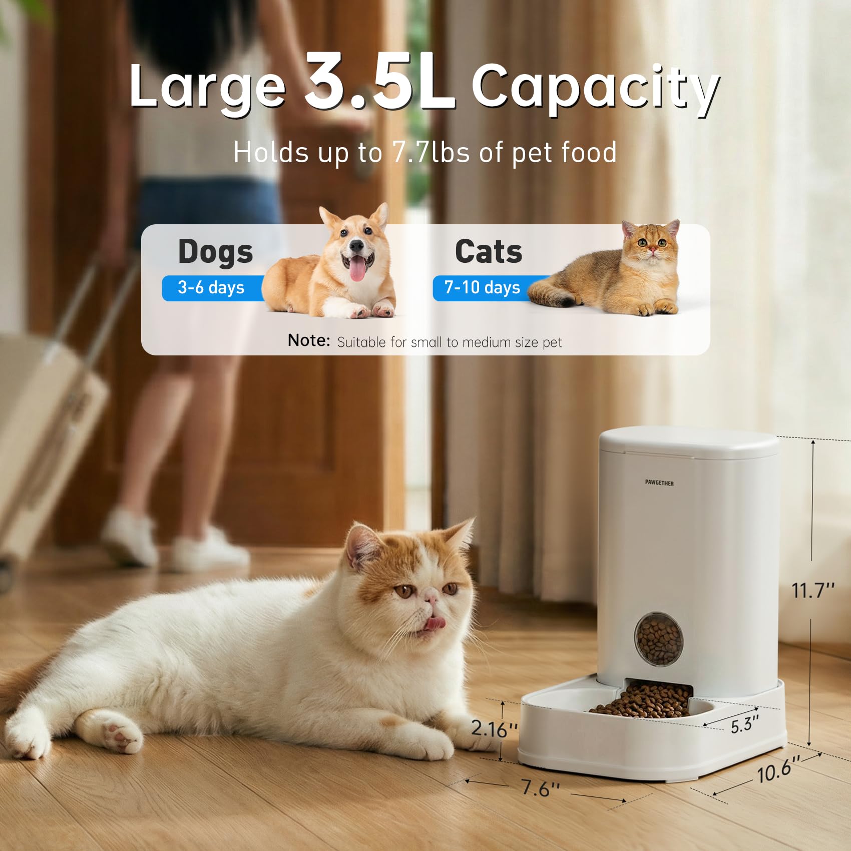 PAWGETHER Gravity Feeder food level window lets you check levels quickly.