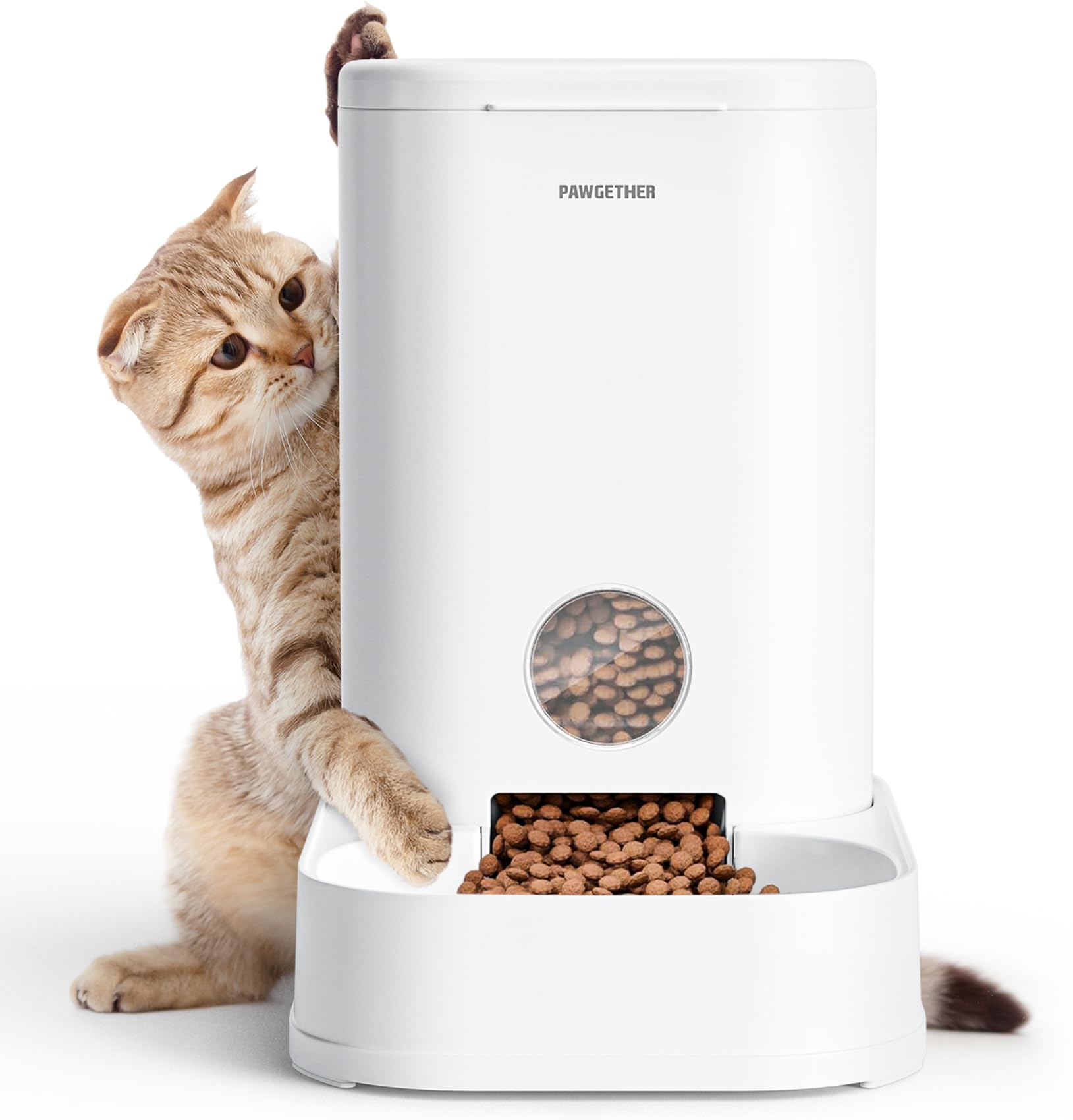 PAWGETHER Gravity Feeder front view shows steady meals for busy owners.