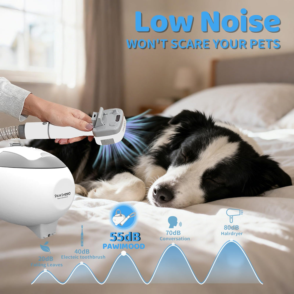 Pawimood steam brush accessory for coat refresh