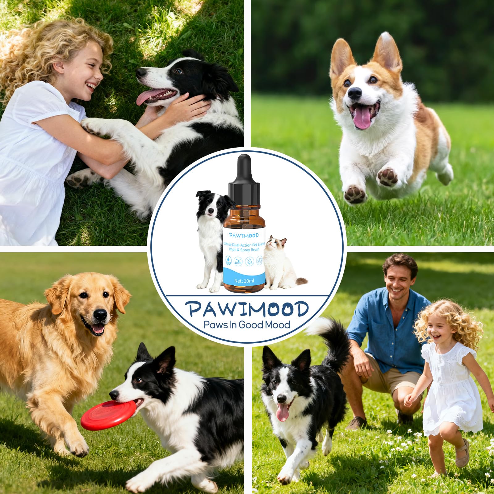 Pawimood eco-friendly-packaging highlights sustainable grooming choices.