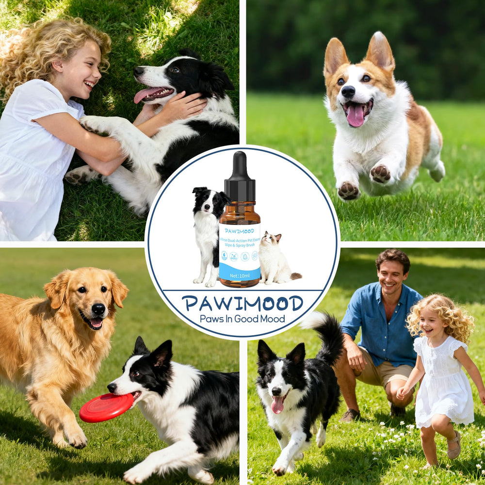Pawimood eco-friendly-packaging highlights sustainable grooming choices.