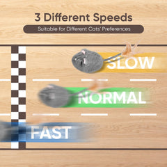 Pawingcat feather tail height adjustment supports easy swats and engagement.