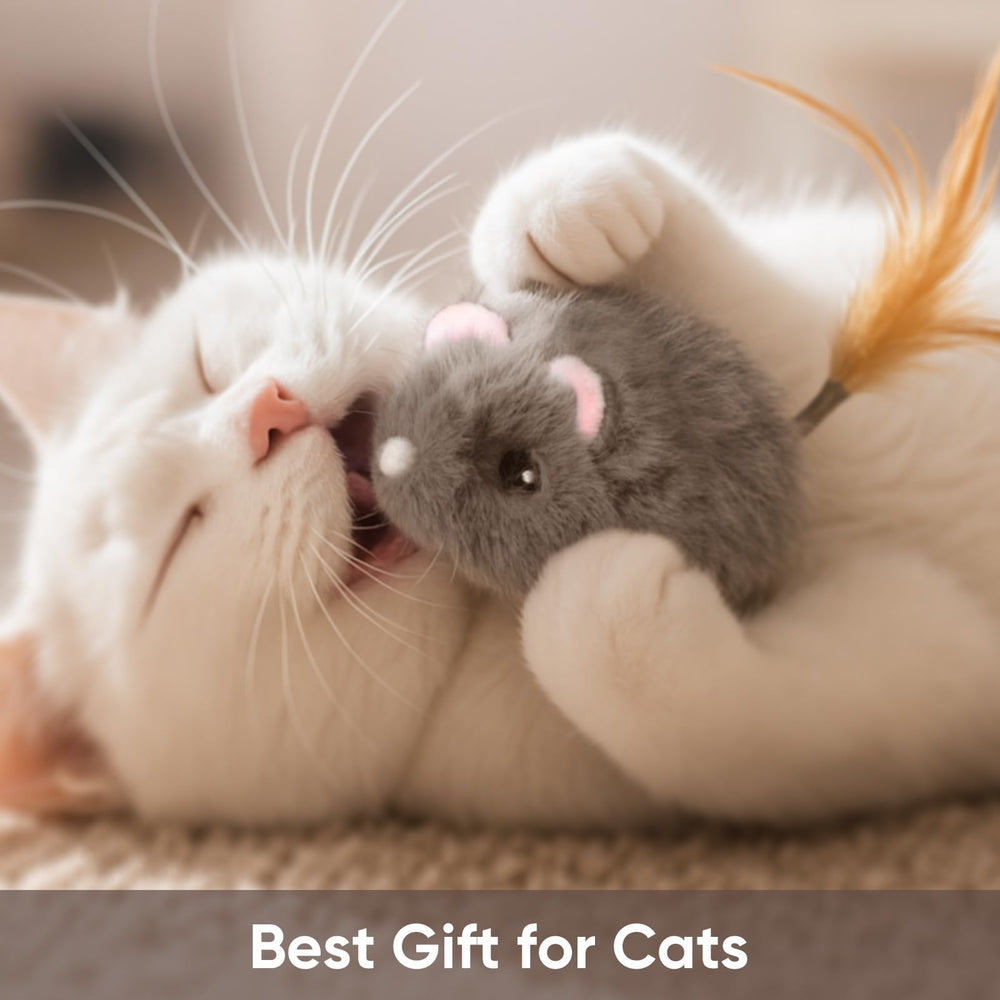 Pawingcat USB charging keeps playtime ready with quick 30-minute recharge.