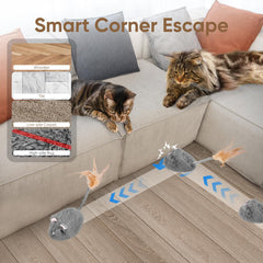Pawingcat four-directions mouse with dynamic movement for varied play routes.