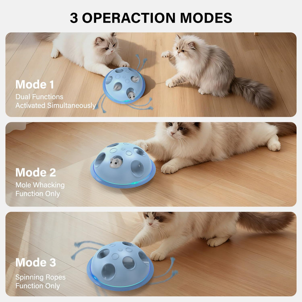 Pawingcat toy offers multiple modes for varied play sessions
