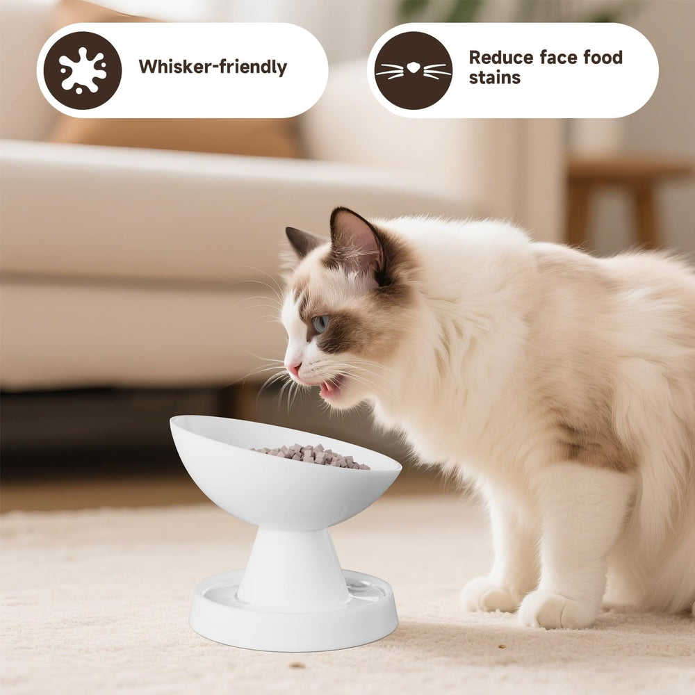 Pawinner white all-life-stages cat dish complements any feeding space.
