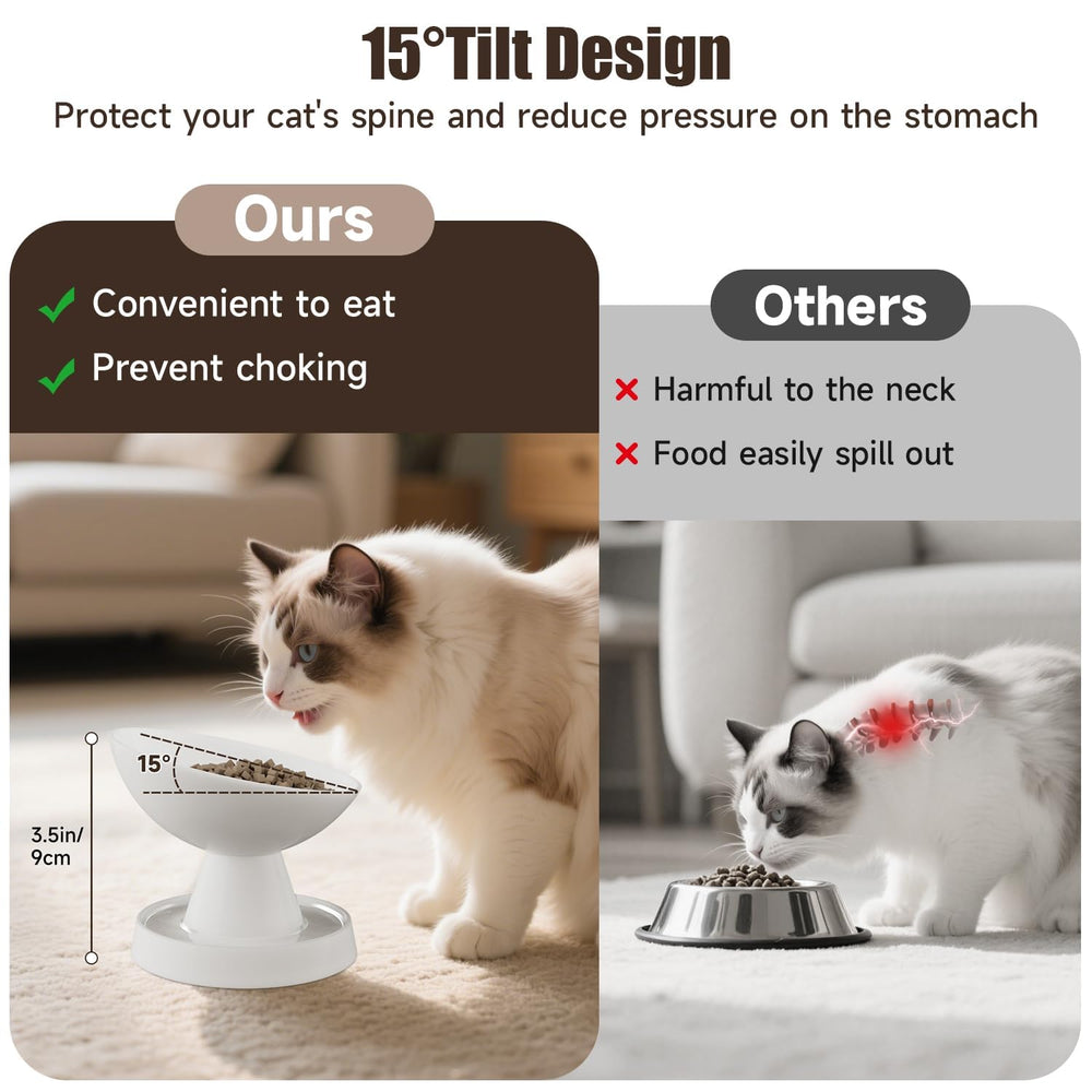 Pawinner ceramic bowl with non-slip base stays stable during meals.
