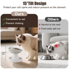 Pawinner ceramic bowl with non-slip base stays stable during meals.