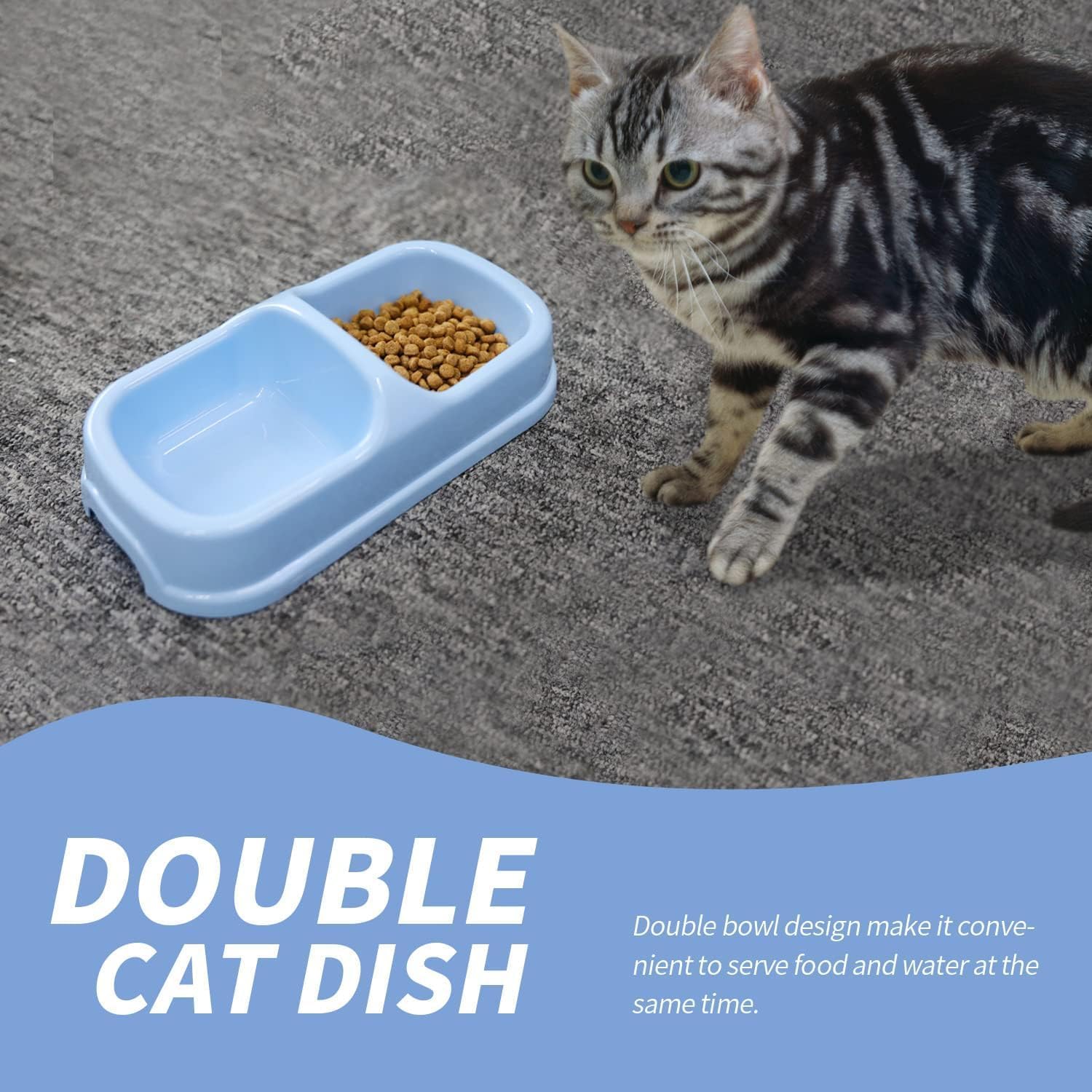 PAWISE ball toy entertains and engages kittens during calm playtime.